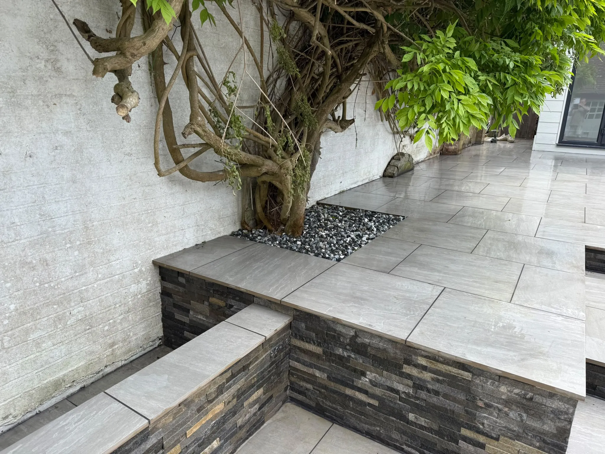 Grey porcelain patio with split-face stone raised bed around a wisteria by Prestige Landscapes